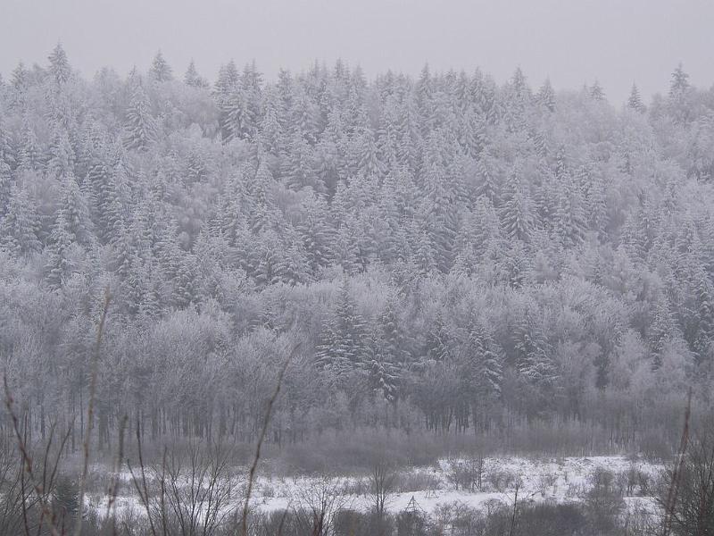 zima 2007-08_02.jpg
